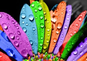 İNANCIN RENGİ HELAL VE TAYYİB KALİTESİNE BOYANMA DİSİPLİNİ